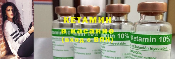 хмурый Верея