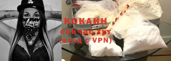 хмурый Верея