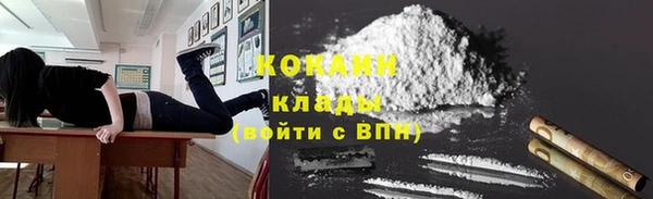 хмурый Верея