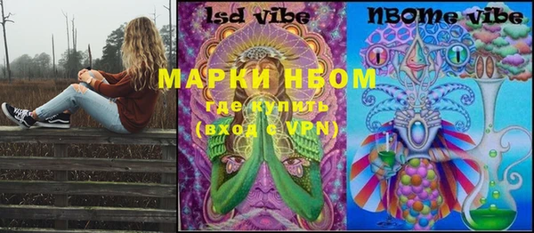 хмурый Верея