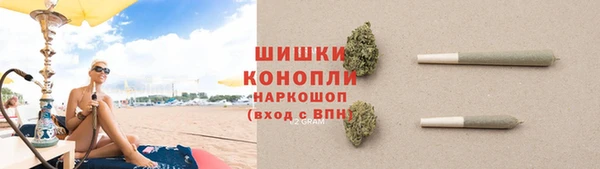 хмурый Верея
