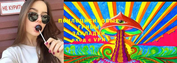 хмурый Верея