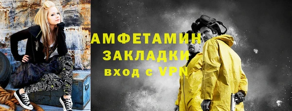 хмурый Верея