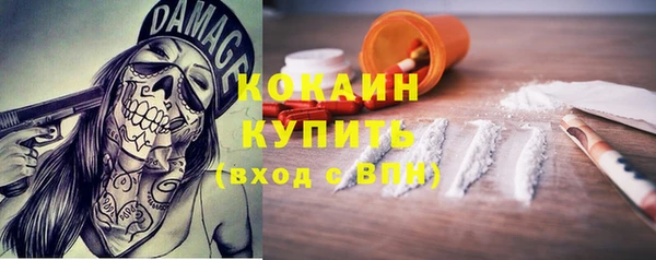 хмурый Верея