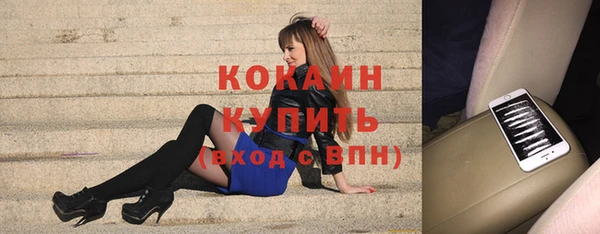 хмурый Верея