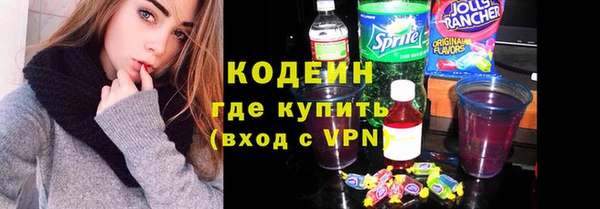 хмурый Верея